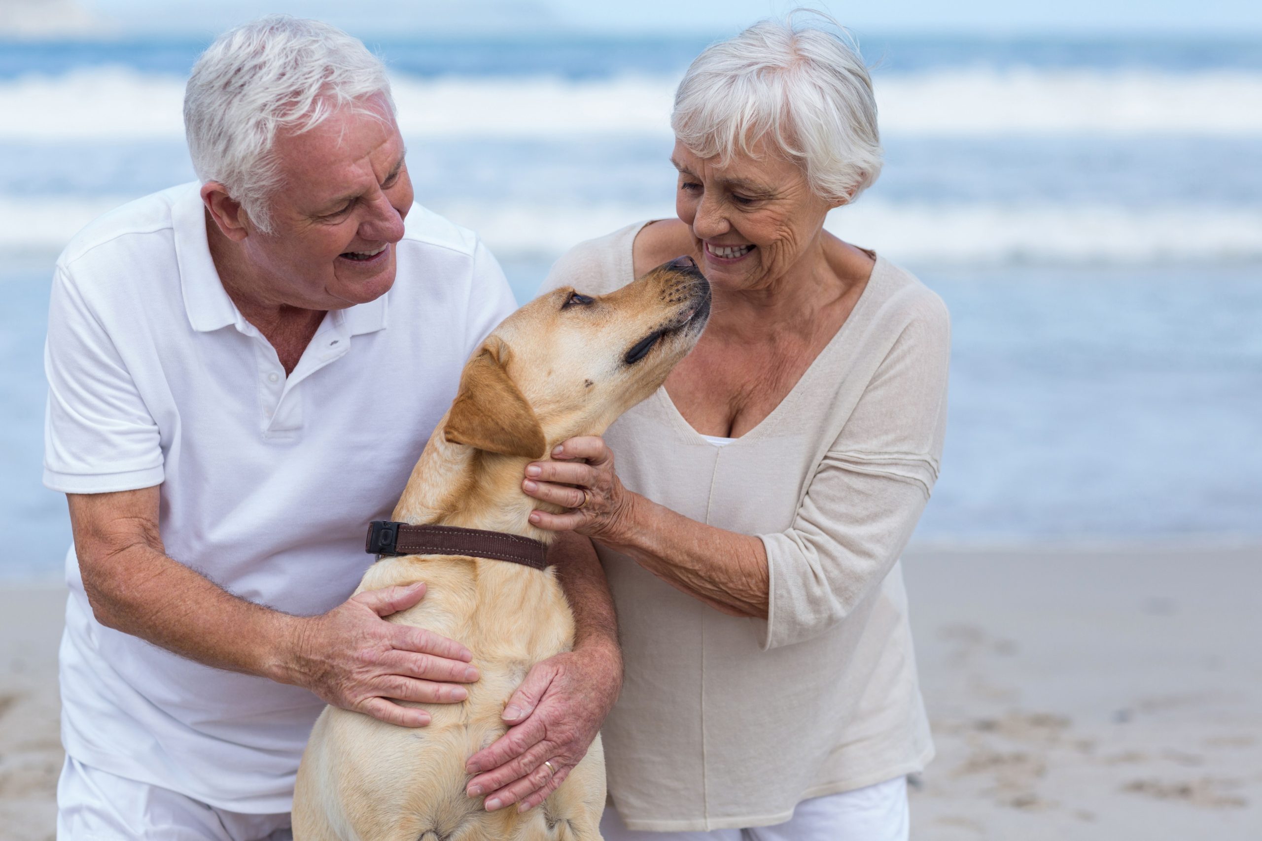 https://massanuttenfinancial.com/wp-content/uploads/2021/12/pikwizard-senior-couple-playing-with-their-dog-on-the-beach-scaled.jpg